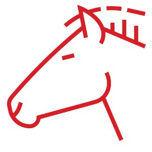 Horse head icon