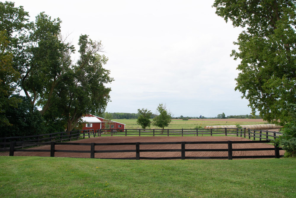 Sand arena in front of the barn at Amy Hanssen Training Center