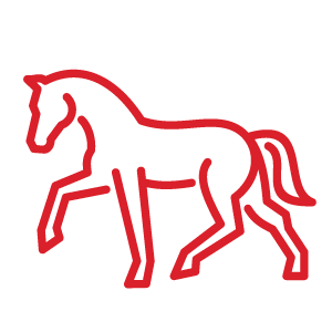 Horse icon