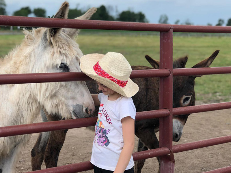 summer1 Camper pets donkeys at summer horse camp