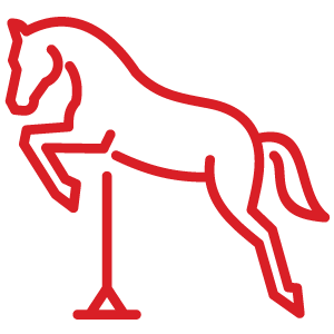 Jumping horse icon